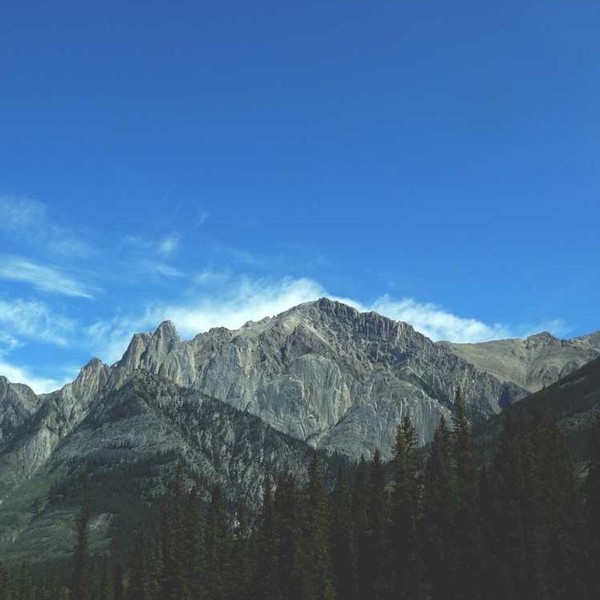 پایه موبایل تاشو