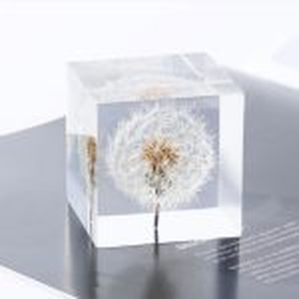 گل خشک قاصدک