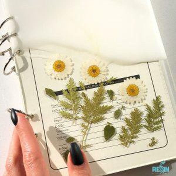 حلقه سه تایی دفتر