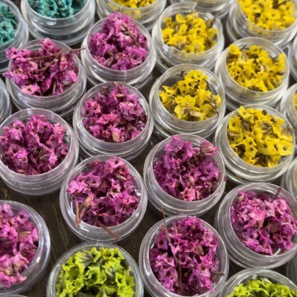 گل خشک شکوفه مینیاتوری