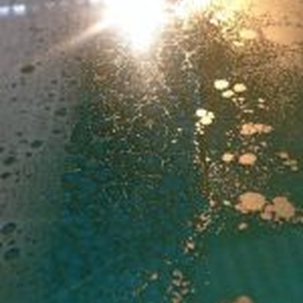 پودری فلزی طلا ، نقره، مس