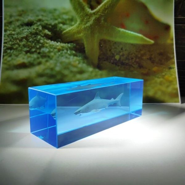 قالب حجمی آکواریومی