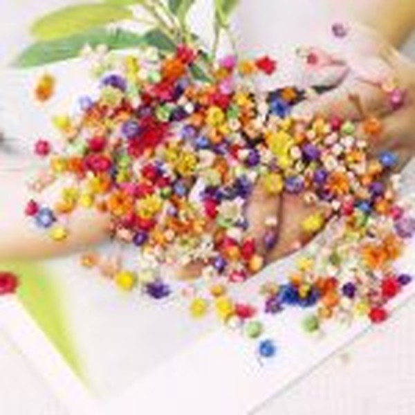 گل خشک طبیعی مینیاتوری