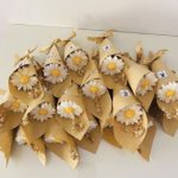 قالب گیفت بابونه