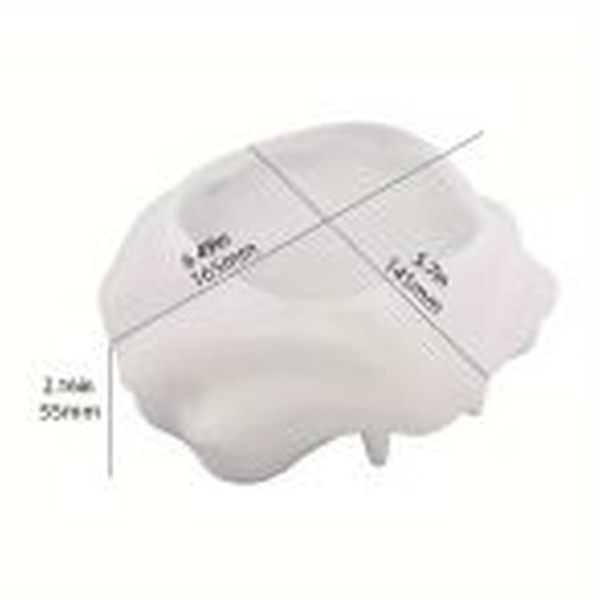 قالب صدف دریایی