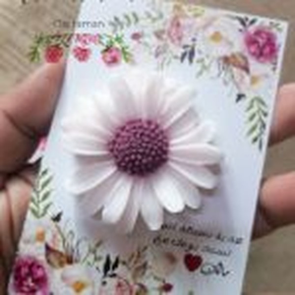 قالب گیفت بابونه