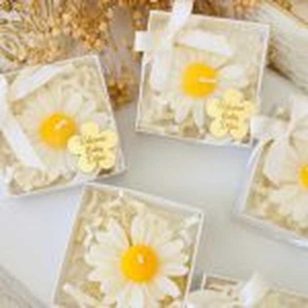 قالب گیفت بابونه