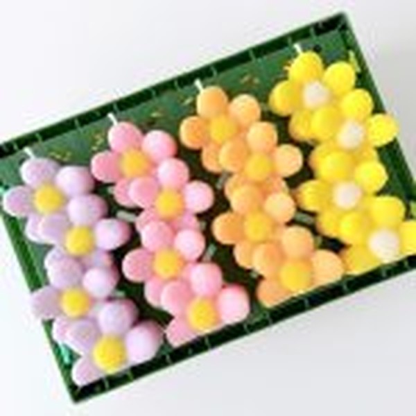 قالب بابونه چهارتایی