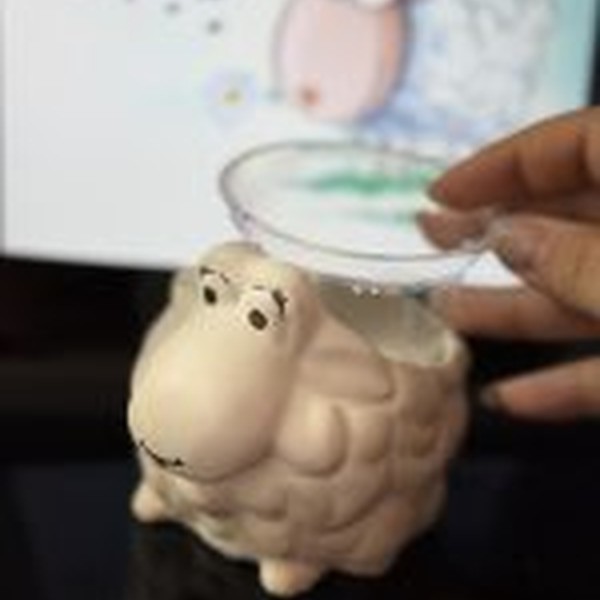 قالب سیلیکونی گلدان بره