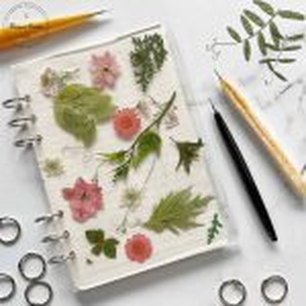 حلقه سه تایی دفتر