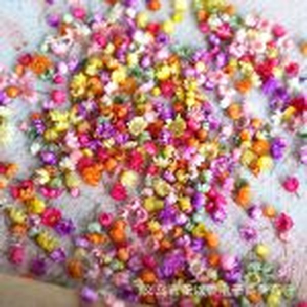 گل خشک طبیعی مینیاتوری