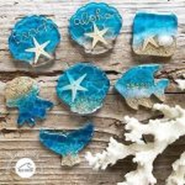 پک ۶ عددی ستاره دریایی طبیعی