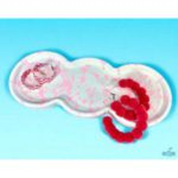 قالب سینی رویال