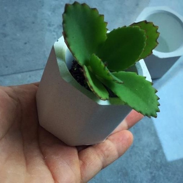 قالب گلدان سه عددی شش ضلعی