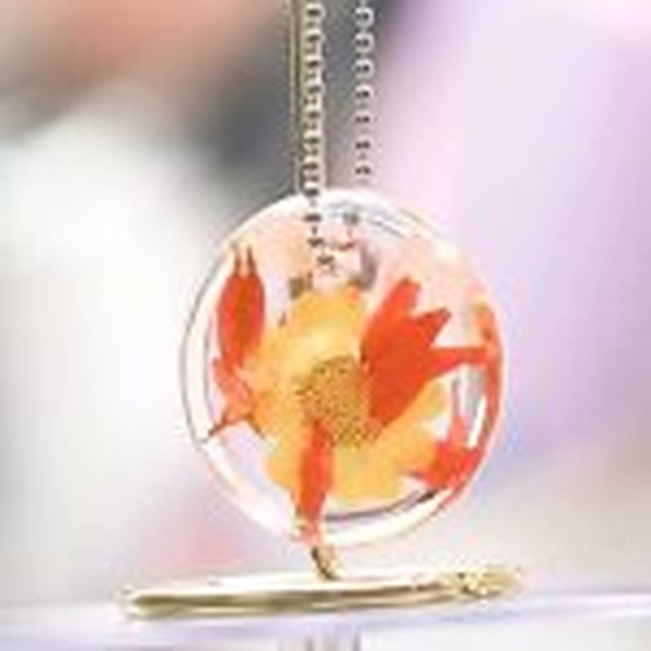 قالب سیلیکونی رزین چوب در سه مدل گرد ، ب