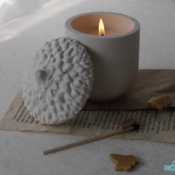 قالب بانکه بلوط