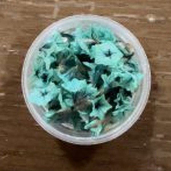 گل خشک شکوفه مینیاتوری