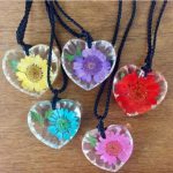 گل خشک بابونه رنگی