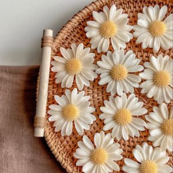 قالب گیفت بابونه