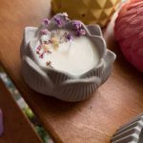 قالب کاسه نیلوفر مرداب