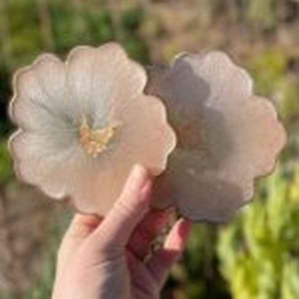 قالب زیرلیوانی گل