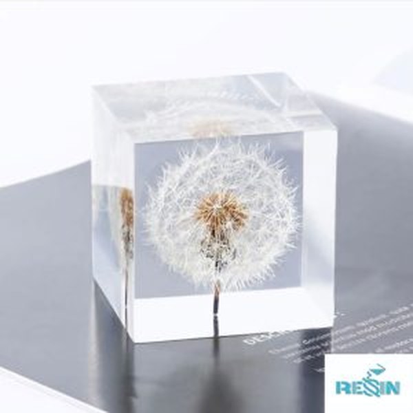 گل خشک طبیعی مینیاتوری