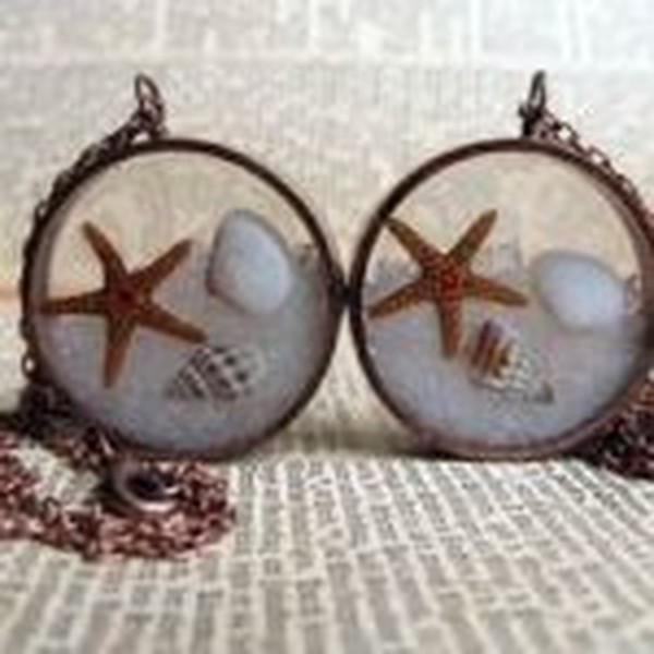 پک ۶ عددی ستاره دریایی طبیعی