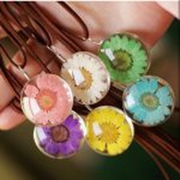 گل خشک بابونه رنگی