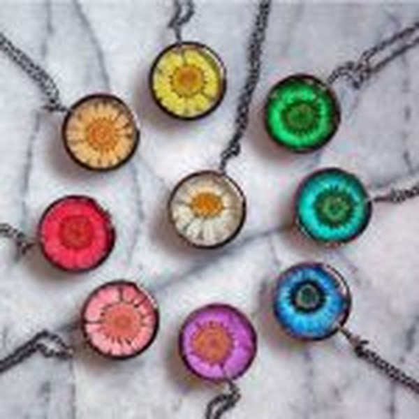 گل خشک بابونه رنگی