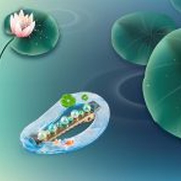 بیدوسفر هولوگرامی