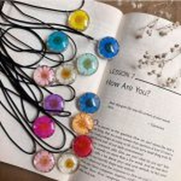 گل خشک بابونه رنگی