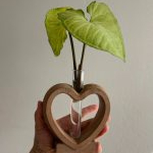 قالب گلجای قلب