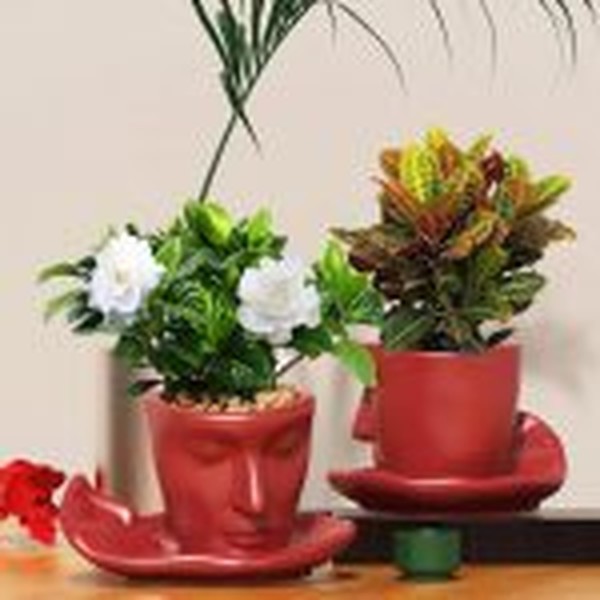 قالب گلدان کاپل