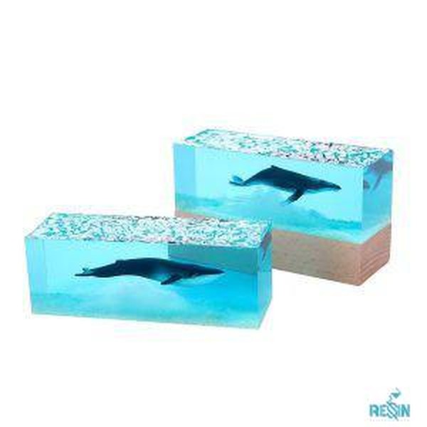 قالب حجمی آکواریومی