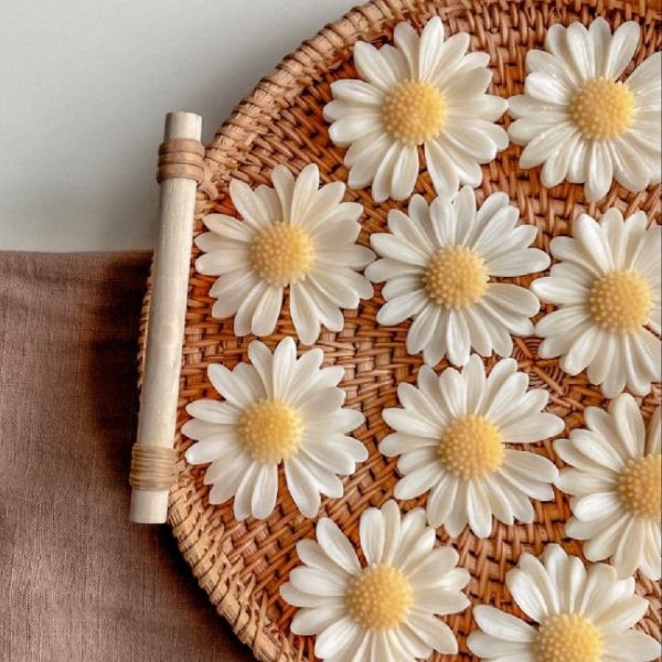 قالب گیفت بابونه