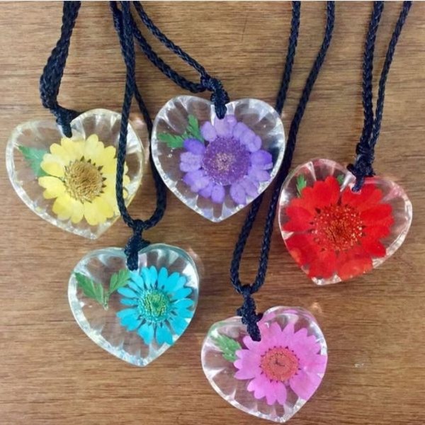 گل خشک بابونه رنگی