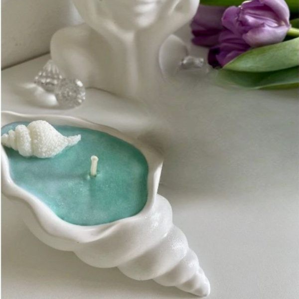 قالب صدف حلزونی