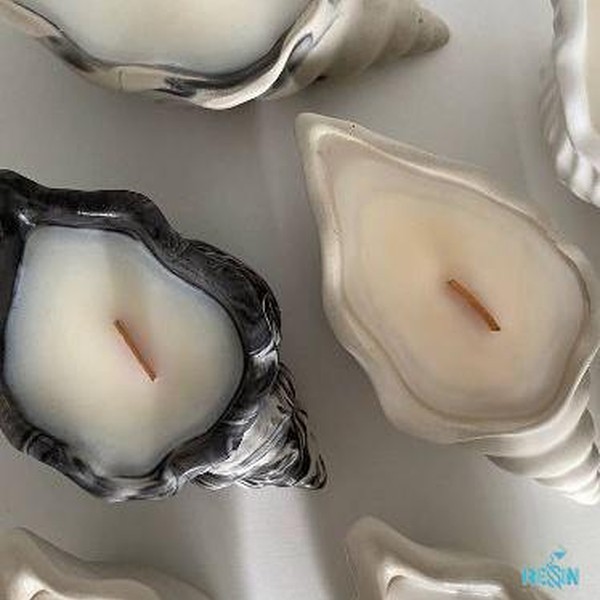 قالب صدف حلزونی