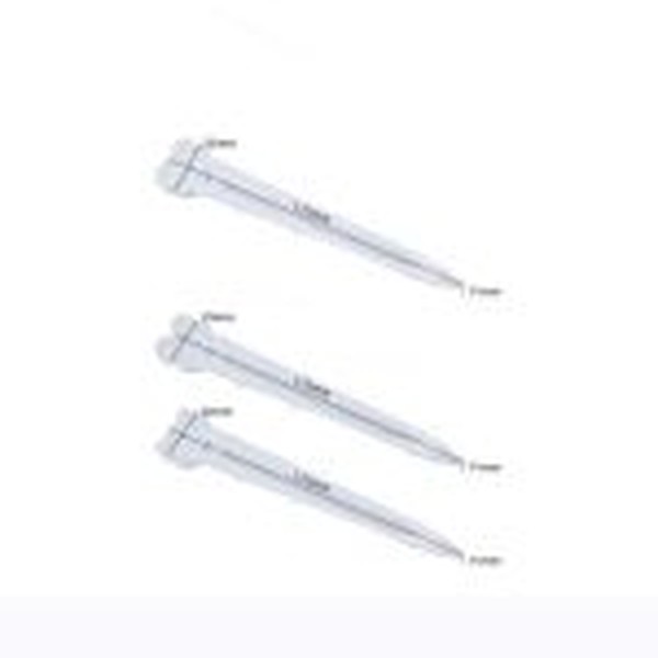 قالب خودکار فانتزی اکواریومی