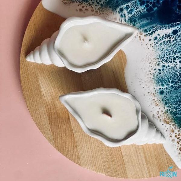 قالب صدف حلزونی