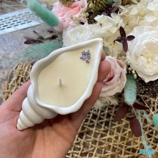 قالب صدف حلزونی