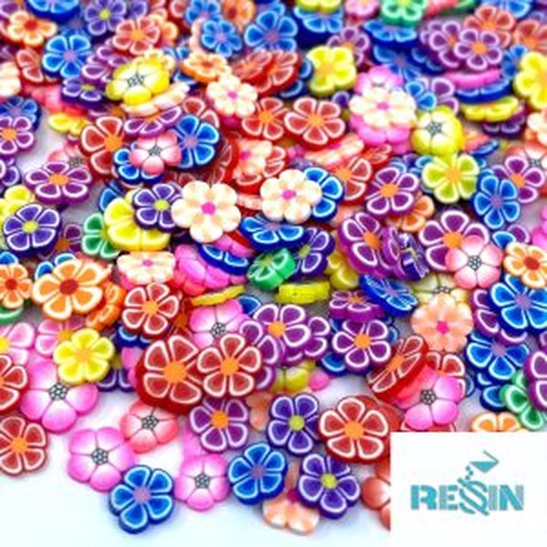 گل خشک بابونه رنگی