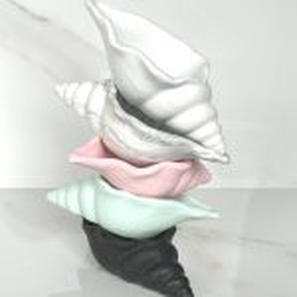 قالب صدف حلزونی