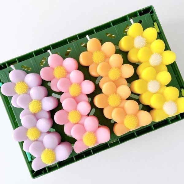 قالب بابونه چهارتایی