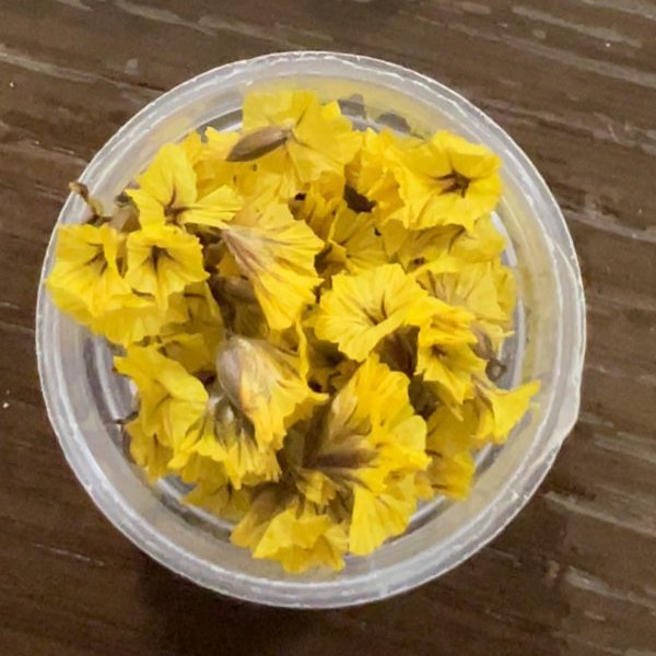 گل خشک شکوفه مینیاتوری