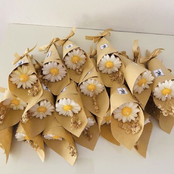 قالب گیفت بابونه