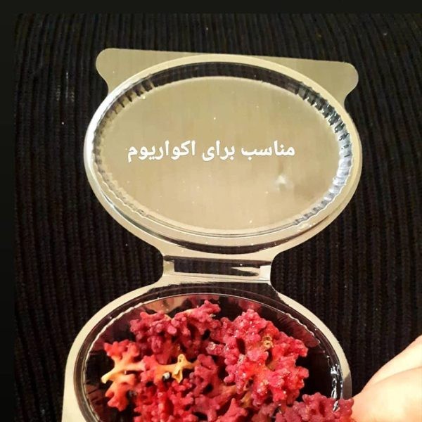 گل مرجانی