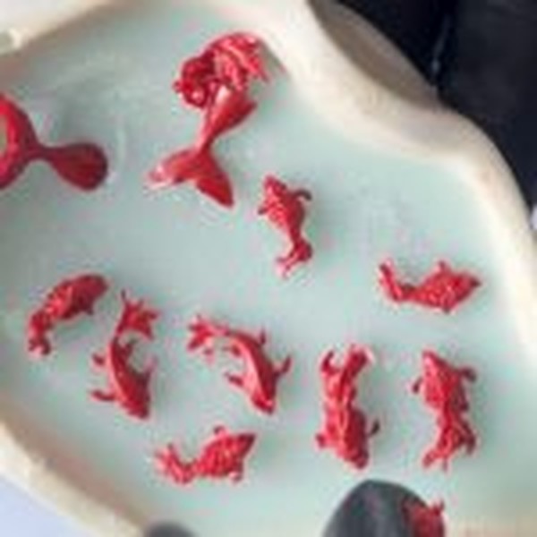 قالب ماهی مینیاتوری