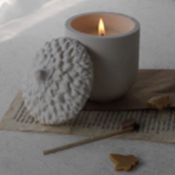 قالب بانکه بلوط