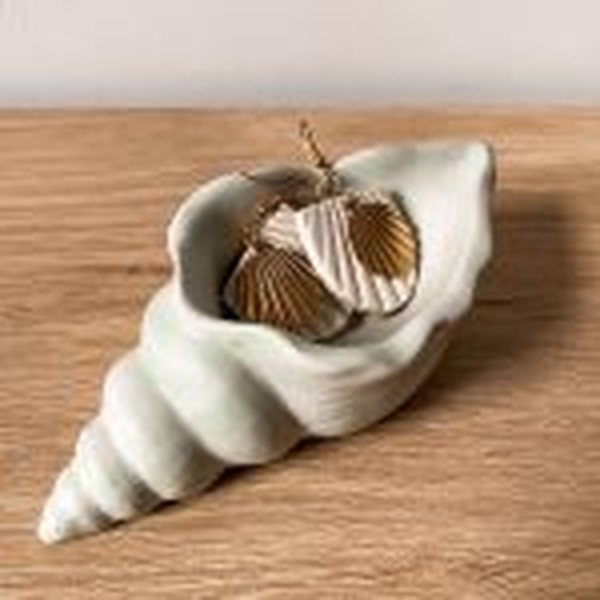 قالب صدف حلزونی